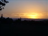 by butterfly-freed, Views[196]