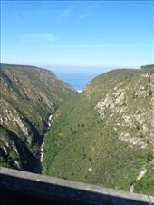 by butterfly-freed, Views[304]