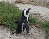 by butterfly-freed, Views[380]