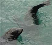 by butterfly-freed, Views[431]