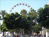 by butterfly-freed, Views[450]