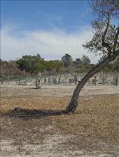 by butterfly-freed, Views[367]