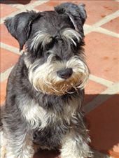 by butterfly-freed, Views[392]