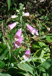 by butterfly-freed, Views[377]