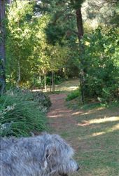 by butterfly-freed, Views[353]