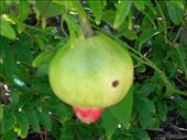 by butterfly-freed, Views[591]