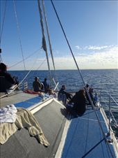 by butterfly-freed, Views[352]