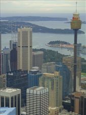 by butterfly-freed, Views[2401]