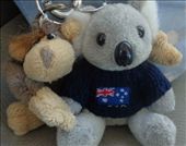 by butterfly-freed, Views[416]