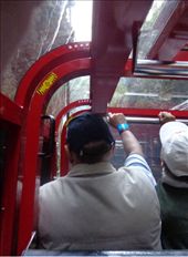 by butterfly-freed, Views[426]