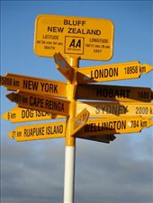 by butterfly-freed, Views[386]