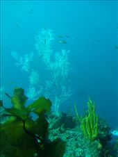 by butterfly-freed, Views[400]