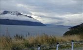 by butterfly-freed, Views[536]