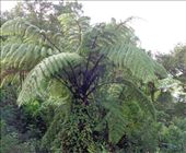 by butterfly-freed, Views[389]