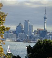 by butterfly-freed, Views[440]