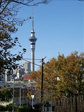 by butterfly-freed, Views[353]