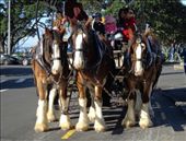 by butterfly-freed, Views[409]