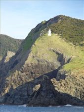 by butterfly-freed, Views[436]