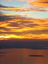 by butterfly-freed, Views[444]