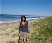 by butterfly-freed, Views[430]