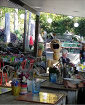 by butterfly-freed, Views[406]