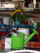 by butterfly-freed, Views[511]