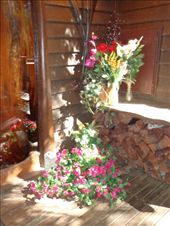 by butterfly-freed, Views[438]