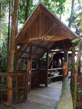 by butterfly-freed, Views[446]