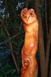 by butterfly-freed, Views[400]