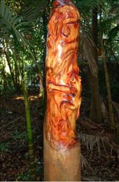 by butterfly-freed, Views[405]