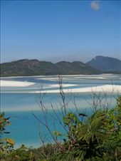 by butterfly-freed, Views[383]