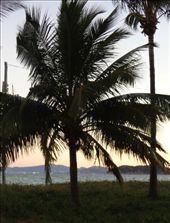 by butterfly-freed, Views[308]