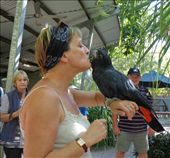 by butterfly-freed, Views[329]