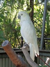 by butterfly-freed, Views[350]