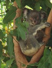 by butterfly-freed, Views[368]