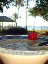 by butterfly-freed, Views[392]