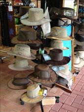 by butterfly-freed, Views[331]