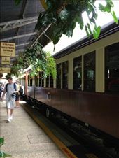 by butterfly-freed, Views[390]