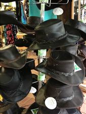 by butterfly-freed, Views[282]