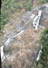 by butterfly-freed, Views[278]