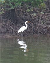 by butterfly-freed, Views[298]