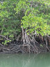 by butterfly-freed, Views[317]