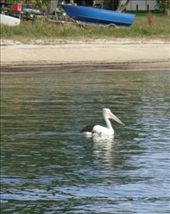 by butterfly-freed, Views[317]