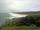 by butterfly-freed, Views[286]