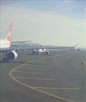 by butterfly-freed, Views[315]