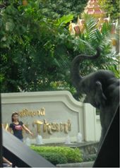 by butterfly-freed, Views[257]