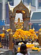 by butterfly-freed, Views[289]