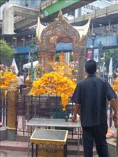 by butterfly-freed, Views[301]