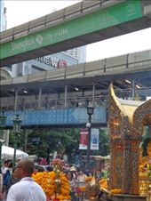 by butterfly-freed, Views[236]