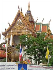 by butterfly-freed, Views[239]